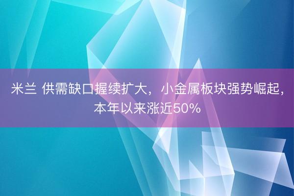 米兰 供需缺口握续扩大，小金属板块强势崛起，本年以来涨近50%
